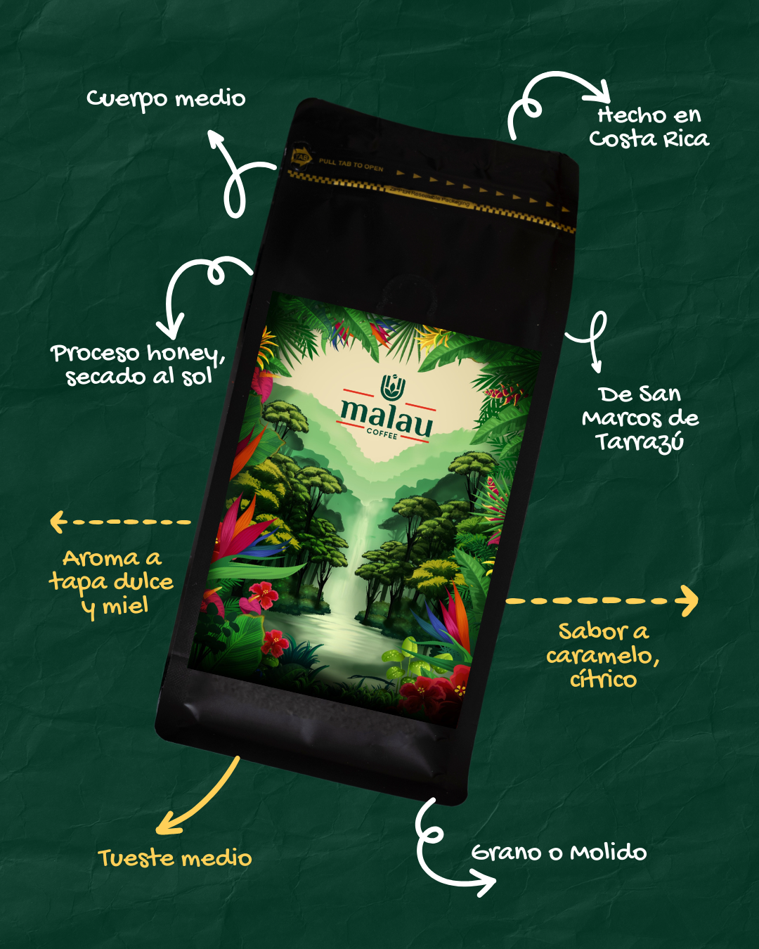 Bolsa de Malau Coffee sobre fondo verde con las características del café.